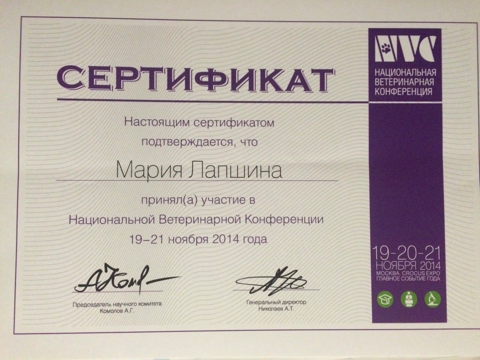 Сертификат Марии Лапшиной о повышении квалификации, 4