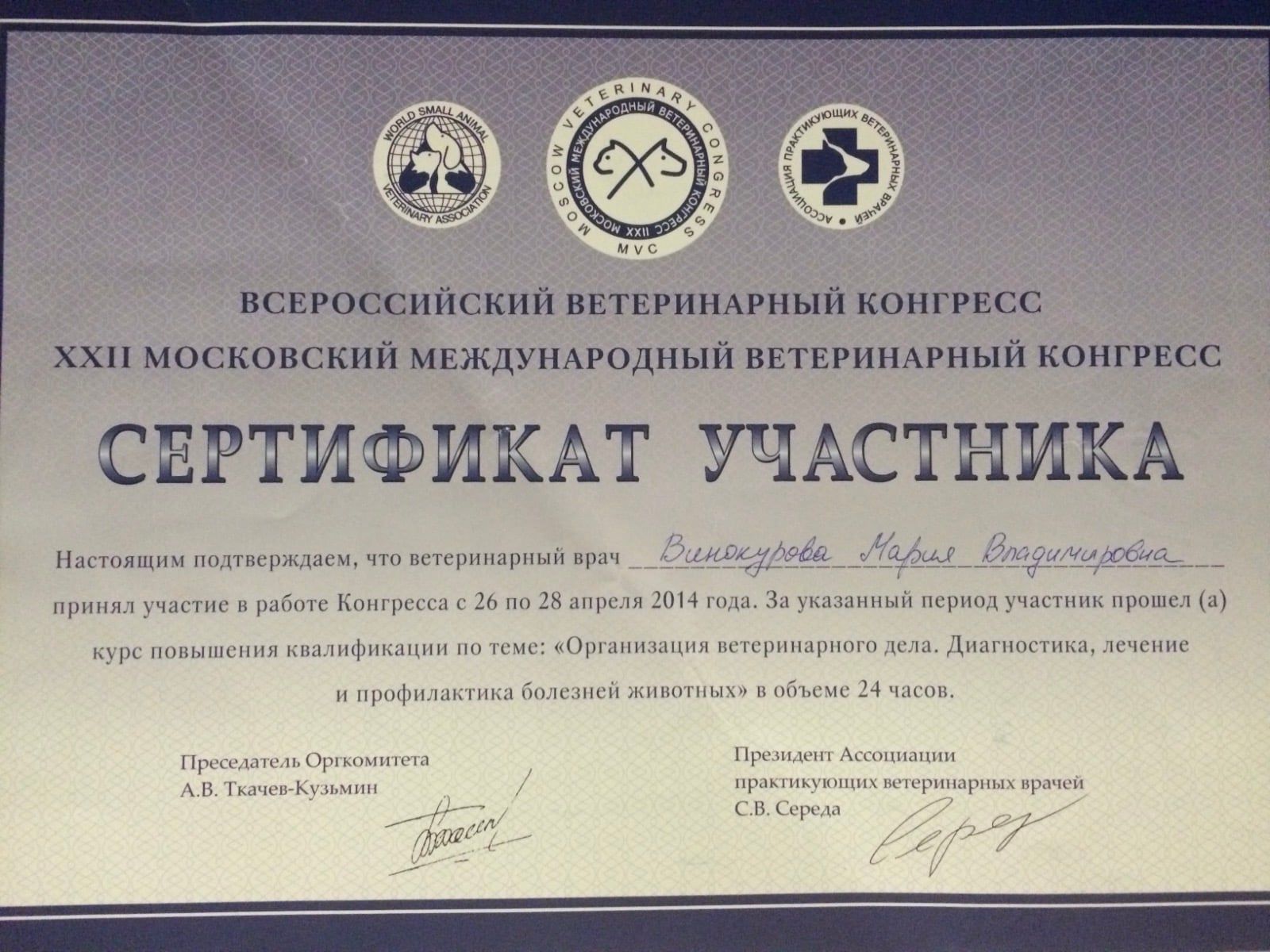 Сертификат Марии Лапшиной о повышении квалификации, 8