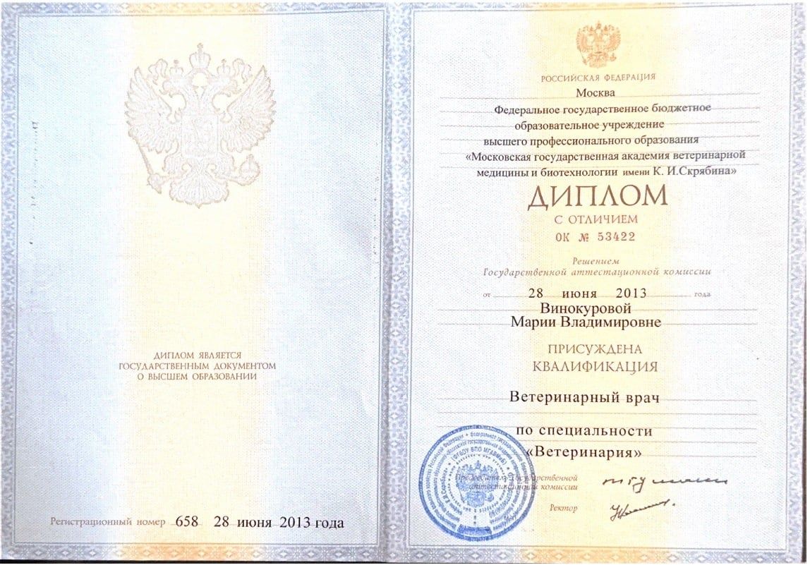 Сертификат Марии Лапшиной о повышении квалификации, 12
