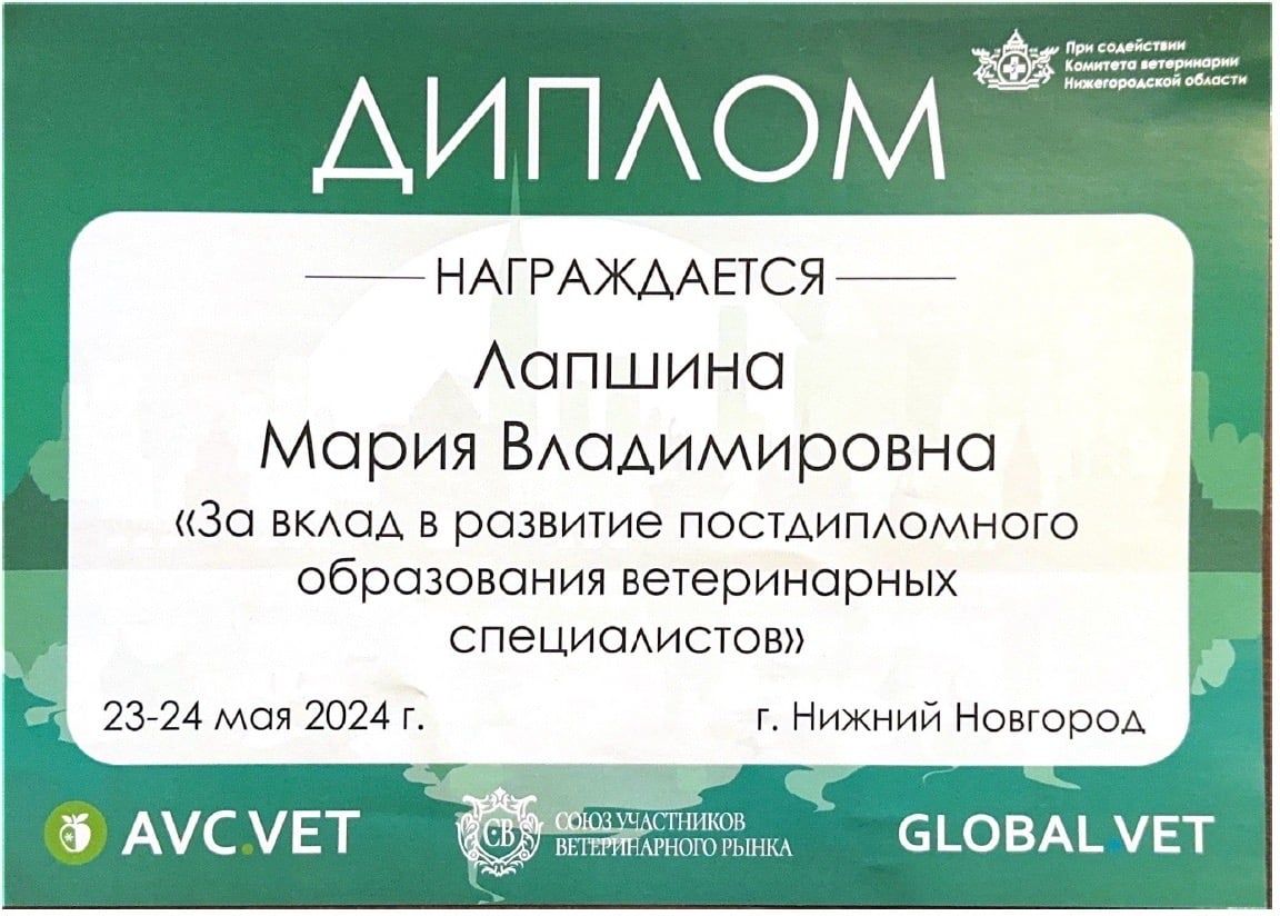 Сертификат Марии Лапшиной о повышении квалификации, 17